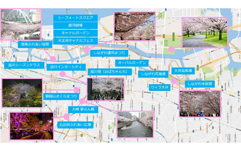 品川が誇る 桜の名所 お祭り 観光スポット が 今 運河で1つになる 4月1日 土 21日 金 しながわフェスウィーク17 初開催 月刊イベントマーケティング 展示会 イベント Miceの総合サイト