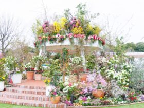 Fukuoka Flower Show Pre-Event