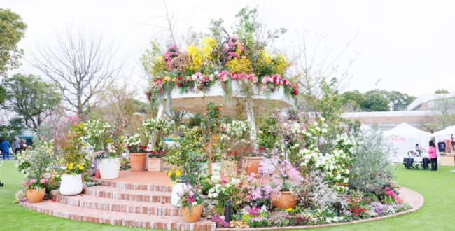 Fukuoka Flower Show Pre-Event