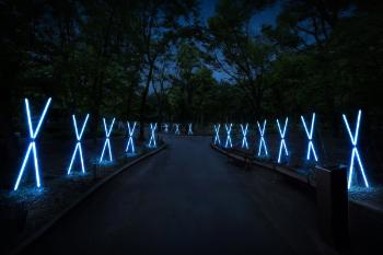 TOKYO LIGHTS2026,Light Art Park