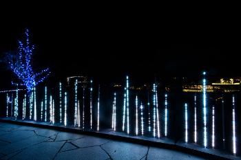 TOKYO LIGHTS2026,Light Art Park