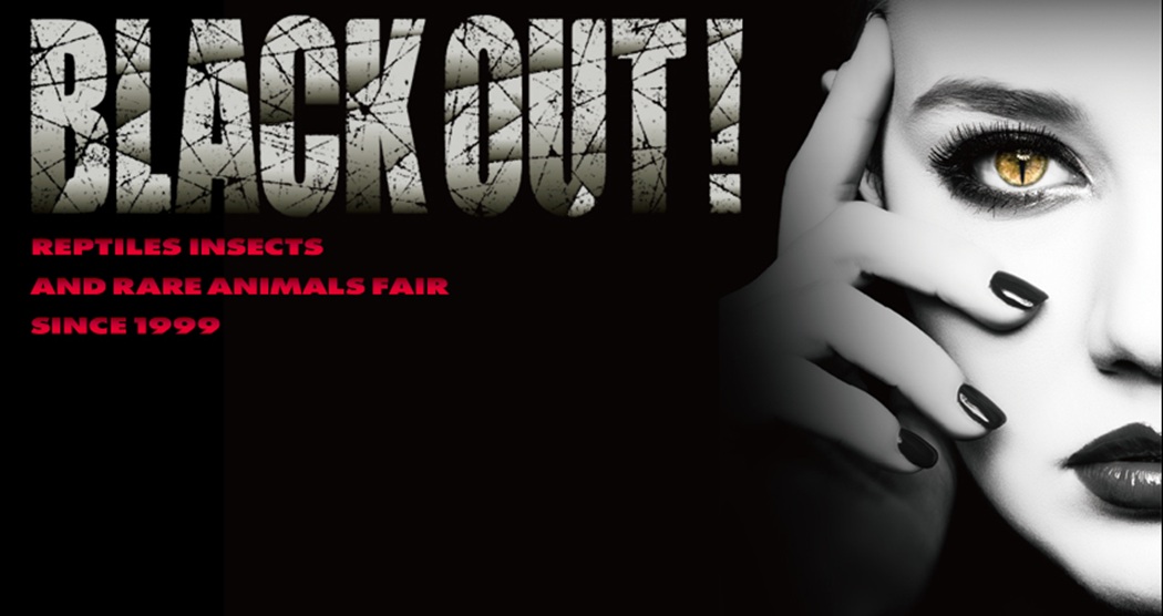 爬虫・奇蟲・珍獣フェア!!≪BLACK OUT!≫ 株式会社OZが主催する、1999年から続く昆虫・爬虫類・小動物の即売イベント「爬虫・奇蟲・珍獣フェア!!≪BLACK OUT!≫」。開催日は2026年11月15日（日）、会場は東京都立産業貿易センター浜松町館2階・3階展示室（チケット売場は3階）だ。東京会場としては3カ月ぶりの開催となる。